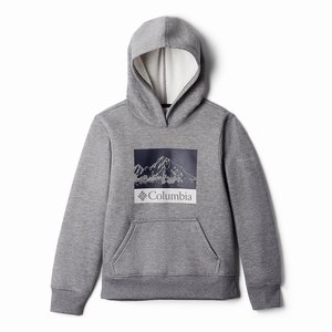 Columbia Hart Mountain™ Hoodie Flickor Grå (LEUBA5190)